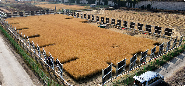 햇빛소득마을 이미지